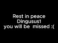 Rest in peace Dingusus1