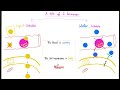 Pharmacology Intro - Pharmacokinetics, Pharmacodynamics, Autonomic, Neuro, Cardiac, Respiratory, GI