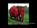 Strawberry elephant song