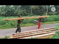 Cutting down coconut trees is the most difficult