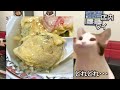 【猫ミーム】王将のド定番メニューと天津炒飯を爆食いした話＃猫マニ＃猫ミーム