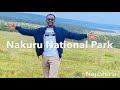 Lake Nakuru National Park || Road Trip From Nairobi to Nakuru || Game Drive🎥
