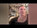 😻 You Laugh You Lose Dogs And Cats ❤️😂 Funny Animal Moments 2024 😅😻