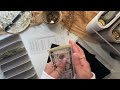 YouTube Paycheck Cash Envelope Stuffing | $486