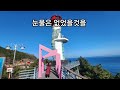 조미미ㅣ바다가 육지라면ㅣ색소폰연주ㅣ장기호색소폰ㅣ같은노래ㅣ노래와 연주 연속듣기ㅣ큰글씨가사 첨부ㅣ운전중 기분전환ㅣ영덕 해맞이공원