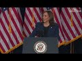 ‘I know Trump’s type': Kamala Harris tells rally of prosecuting predators and fraudsters