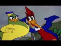 A Baby Panda Is Born! | 2.5 Hours of Classic Episodes of Woody Woodpecker