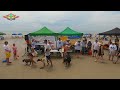 2024 Ohana Surf Dog Competition Award Ceremony (I Was A JUDGE!) | Sweep Talk 366 | Live Mic SUP