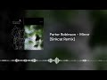 Porter Robinson - Mirror [Sinkcat Remix]