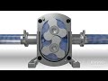 How it Works: Rotary Lobe Pump