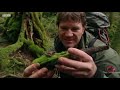 Best Of Frogs | Top 5 | BBC Earth