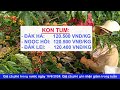 Giá cà phê hôm nay ngày 16/6/2024|Giá cà phê thế giới và trong nước ghi nhận giảm trong tuần