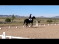 Amanda and Majic - Pre-Comp Dressage at Grass Ridge