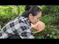 Harvesting forest fruits, incident from the policeman's ex-girlfriend - Dieu Anh