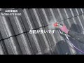 #児島#山田塗装店#エアレス塗装　エアレスで吹き付けしました