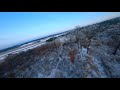 Frosted tree tips FPV Flight | Xhover Blastr 6S