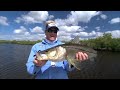 Backcountry Fly Fishing for Snook in the Florida Everglades