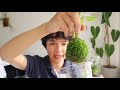 How to revive dried sphagnum moss | easy tutorial