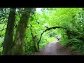 On the way to North Falls, Silver Falls Park Oregon