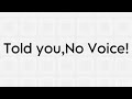 This Video Has No Voice!