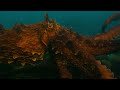 Giant Pacific Octopus Walking on the Ocean Floor!