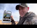 Do these DEER FEEDS and ATTRACTANTS work????