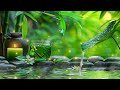 Relaxing Piano Music and Water Sound 🌿 Stress Relief, Spa Music, Sound of Water