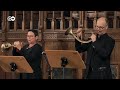 Bach Cantata: Sie werden aus Saba alle kommen | Philippe Herreweghe, Collegium Musicale Gent