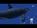 Ocean Rift VR Under Water Sea Animals Oculus Quest 2