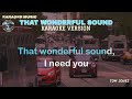 THAT WONDERFUL SOUND - Tom Jones (Karaoke music)