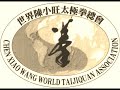 Taiji, Chen Xiaowang, Chenstyle, Taijiquan, Grandmaster Chen, Chenjiagou, 陈小旺, Tai chi