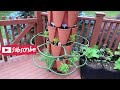 Plant Support for the GreenStalk Vertical Planter