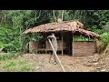 Harvest bamboo shoots at the end of the season and take care of the bamboo shoot garden