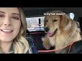 My Dog Reacts to Car Wash