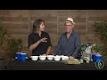 Cannabis Seed Germination Tutorial: Mel Frank & Derek Gilman / Ganjier