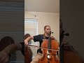 The Silver Swan cello 3