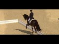 Dressage - It`s Gonna Be a Lovely Day