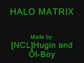 Halo Matrix