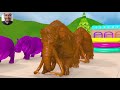 Long Slide Game With Elephant Gorilla Buffalo Hippopotamus Tiger - 3d Animal Game - Funny 3d Animals