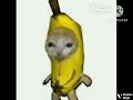 Preview 2 Banana Cat Deepfake