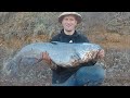 MULTIPLE GIANT Cats Caught from Small River! (EPIC!)