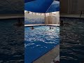 Spring Swimming day  - Part 1