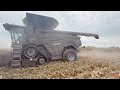 FENDT IDEAL 9T Combine Harvesting Corn