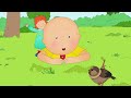 Holiday in London | Caillou Cartoon