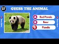 Can You Guess the Animal by Picture?