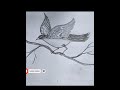 3d drawing of bird  #sorts