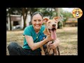 Skinny Dog Imprisoned For 4 Years, Sitting In One Place And Longing For One Day To Be Free