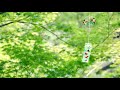 Environmental sounds/summer sounds “Wind chimes, Higurashi seminars, river murmuring sounds” ASMR