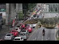 Giant Lizard in Bangkok