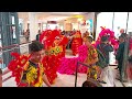 Lion & Dragon Dance